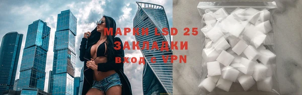 СК Краснослободск