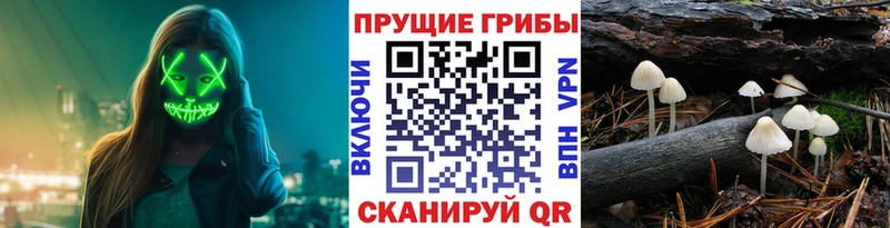 ссылка на мегу ССЫЛКА  Лысьва  Галлюциногенные грибы прущие грибы 