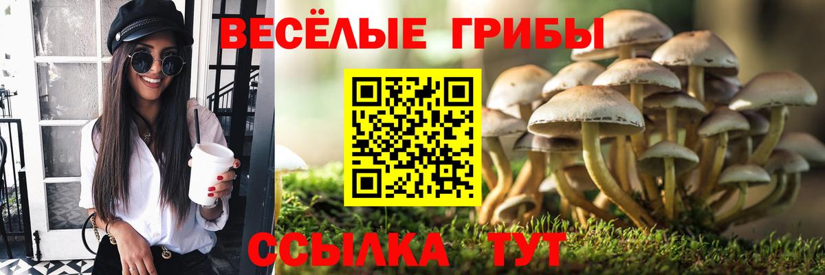 Псилоцибиновые грибы мухоморы  Псилоцибиновые грибы Psilocybe  Лысьва 