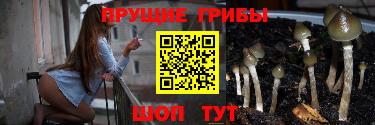 Лысьва  Галлюциногенные грибы GOLDEN TEACHER  Псилоцибиновые грибы GOLDEN TEACHER  Вход с VPN 