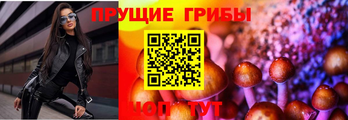 Псилоцибиновые грибы MAGIC MUSHROOMS Лысьва